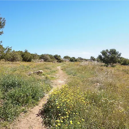 2 Bedroom Gorgeous In Apartman Torrevieja