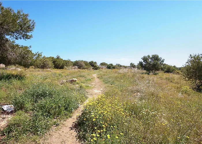 Pet Friendly In Apartmán Torrevieja